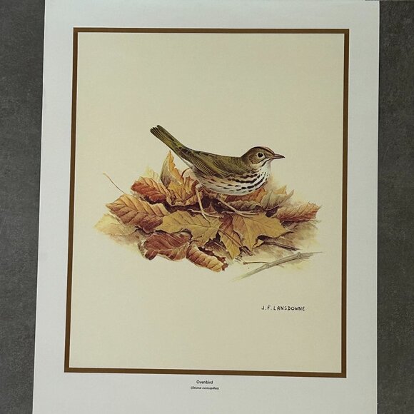 Vintage 1970 & 1971  Calendar Prints J.F. Lansdowne Birds - Picture 6 of 9